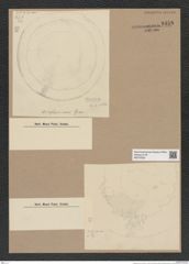 Hyalodiscus sp. (de-Toni-Nr.: Genus 219) Zeichnungen Sammlung Grunow Nr. 9458 (NHMW-BOT-W0379322)